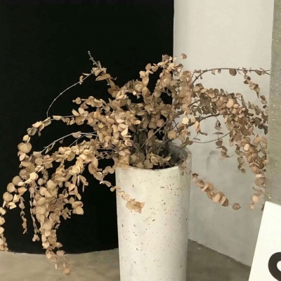 福田FurryQQ群介绍